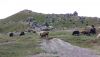 IMG_20230820_175350.thumb.jpg.b9884ab3e76c8daab84be36839bd8bba.jpg