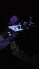 IMG_20230820_204053.thumb.jpg.a2fc58c20d59926220721865b1f73c0f.jpg