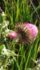 IMG_20230821_065937.thumb.jpg.bfd5c94de96816b7fed7aeec645629de.jpg