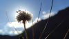 IMG_20230821_070222.thumb.jpg.572d58ef7c5a33784fd0b2994ab5c0dc.jpg