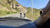 IMG_20230821_091706.thumb.jpg.74b53738ab068304c86d5317df1e5199.jpg