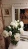 IMG_20230904_225451.thumb.jpg.c577e2d6c67e52491a842e3311cb885f.jpg