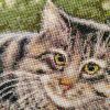 IMG_20230905_163301.thumb.jpg.0ff4fc4ead816cc8f2ac30f2dc8604ae.jpg