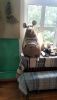 IMG_20230907_125703.thumb.jpg.779c9072a63309a3a9fdcd1b0c30deb3.jpg