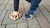 IMG_20230909_105400.thumb.jpg.47607594761184d6b79908e5381ac9dc.jpg