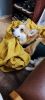 IMG_20230914_211951.thumb.jpg.eda5cddccc8c03fe448c3b7e4ad0df30.jpg
