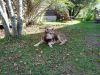 IMG_20230918_122423.thumb.jpg.497f967c34f5594a07853364527db4c7.jpg