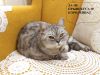 IMG_20230918_204351.thumb.jpg.6d9aaf317a4800b6326ddd5087f14e25.jpg
