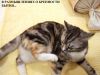 IMG_20230918_205032.thumb.jpg.54d7721cb899e5ea87602c5055814197.jpg