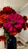 IMG_20230919_161108.thumb.jpg.7bd6a450d1e4ee669b9605aa92195c72.jpg