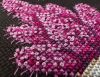IMG_20230920_161604.thumb.jpg.55fb671bed1841e3bb4181a88397264a.jpg