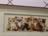 IMG_20230928_122747.thumb.jpg.42a40c4f4bcdb9a99c61c40c243fa78d.jpg