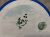 IMG_7664.thumb.jpeg.64e755c54dbb5112d28ec7c03f0be2ea.jpeg