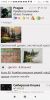 Screenshot_2023-09-24-01-44-57-269_com.yandex.browser.thumb.jpg.c601d6d63101d227e79cd9ce1873f4a5.jpg