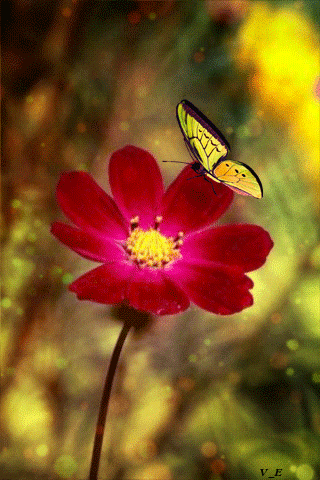 d9510b2990b794afe34d78e07f3865d6.thumb.gif.ef4068e5164cacc6d12fefa3359d832b.thumb.gif.8cc9bfa07788dfe7a9d0d57dd41b629d.gif