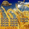 1021734080_6.thumb.jpeg.71bad8cbe61e7a86f443afde77f7d3c5.jpeg