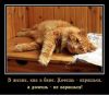 109e0330-1372-45fd-9fdc-7910c4f6ed96.thumb.jpeg.9581a46aaa7c526fbe072eae83d74610.jpeg
