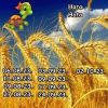 1319161691_12.thumb.jpeg.e53f5525a889de8565bbef98208c7104.jpeg