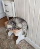 1666670277_.thumb.jpg.d5f54a3ea75a4b1723ac25d8bfa268e3.jpg