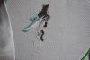 1760538140_45912019_04_29.thumb.JPG.33b9b7b4dcd42f9a6191aa14100d38e6.JPG