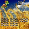 1920549858_12.thumb.jpeg.619ebbe7794c11d94784590545158919.jpeg