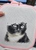 2.thumb.jpg.3210ac5e250daa7ec9152efcbbcb6e73.jpg