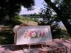 20230621_135123.thumb.jpg.d82bb075e57046b3125eee2a8fb84f0d.jpg?1697173159663
