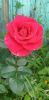 20230713_104359.thumb.jpg.39ae97ef86ecb939b9027e99fe15bd93.jpg