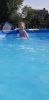 20230713_163341.thumb.jpg.4084feacb7abc9c70d9f94da285512b9.jpg
