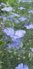20230714_110756.thumb.jpg.b9e50ebd5e6e0bbf60b94c807d8d1fd1.jpg