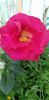 20230714_155921.thumb.jpg.fc1f2ce3ad429c39dfd3268bee9e9195.jpg