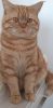 20230818_141557.thumb.jpg.3f6ead49c824cdb76546cb2482ba43a9.jpg