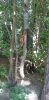 20230823_151948.thumb.jpg.8a38e52a83c95bae6a074b1562676e3b.jpg