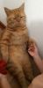 20230825_174650.thumb.jpg.d72278db76a8d485feea7d93e2a5c5e5.jpg