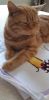 20230913_093327.thumb.jpg.3184e6946ed3e1c2b4736fa1f37933ab.jpg