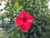 20231010_181017.thumb.jpg.65cae9ef6a30496b5e533cdc42ed6cb9.jpg