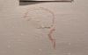 20231012_213820.thumb.jpg.2b042633bfa028c7d79de007db860344.jpg