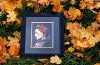 20231021_121526.thumb.jpg.5b3530bdabde060c540962181216c6c5.jpg?1697991915887
