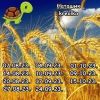 204964270_7.thumb.jpeg.36c6576cd535e0db9e8d029e75955fee.jpeg