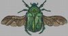 27949.thumb.jpg.00f00e52e9cdc3de1e07df77695dbefe.jpg