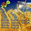 335534086_7.thumb.jpeg.d6da3f36728749437cde9eee123f8a54.jpeg