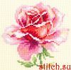 46194.thumb.jpg.3a26ffb28d15a12c7d149f68cee3721b.jpg