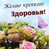 508900.thumb.jpg.9c16a42312b85a5fd063302a3bf3d555.jpg