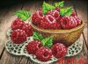 51754.thumb.jpg.f92fb2a82f43d9cabe18bc9e003cef8e.jpg