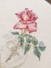 7.thumb.jpg.199be264e045a8cd13e5f0de79dc5386.jpg
