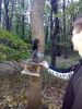 76713613_2023-10-0817-30-43.thumb.JPG.39ab09fe2d861e2cb3c9f60f25bbdf04.JPG