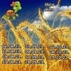 834946081_12.thumb.jpeg.15b7fbdac5ac7778f26e129ffccfe86a.jpeg