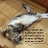 9.thumb.jpg.f2bf0fbff931ac19453463ce8fbd2c00.jpg