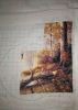912359603_WhatsAppImage2023-01-30at16_42_03.thumb.jpeg.88fb43654a0b81e9c2d7d27f91c32e1e.jpeg