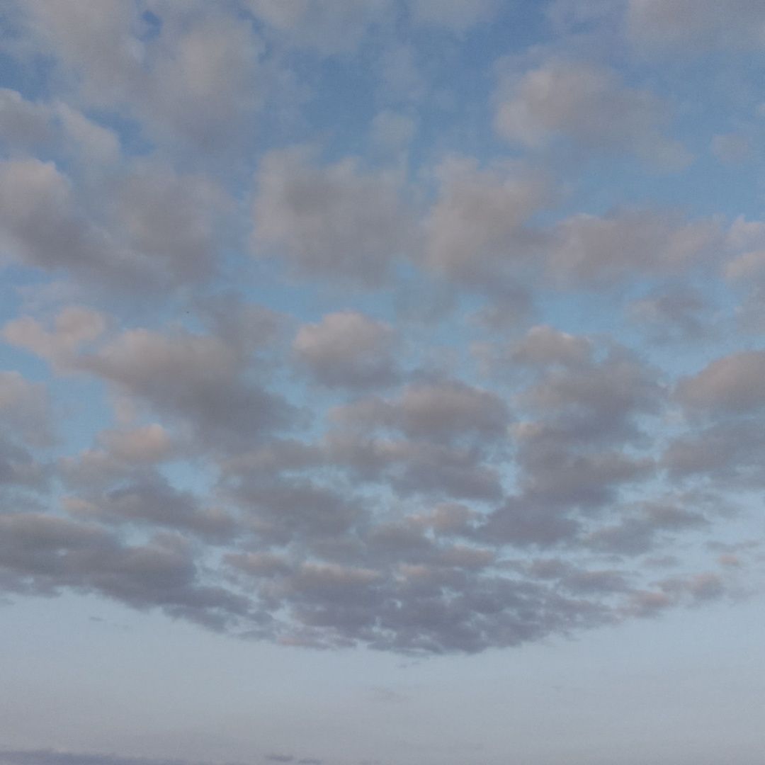 99202310814.jpg